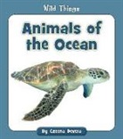 Czeena Devera - Animals of the Ocean