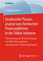 Ali Masoudi Alavi - Strukturelle Phasenanalyse von chemischen Prozessadditiven in der Silikat-Industrie