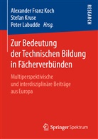 Alexander Franz Koch, Stefa Kruse, Stefan Kruse, Peter Labudde - Zur Bedeutung der Technischen Bildung in Fächerverbünden