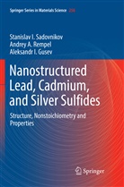 Al Gusev, Aleksandr I. Gusev, Andrey Rempel, Andrey A Rempel, Andrey A. Rempel, Stanislav Sadovnikov... - Nanostructured Lead, Cadmium, and Silver Sulfides
