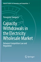 Panagiotis Tsangaris - Capacity Withdrawals in the Electricity Wholesale Market