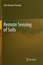 Ravi Shankar Dwivedi - Remote Sensing of Soils