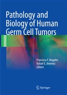 E Jimenez, E Jimenez, Francisc F Nogales, Francisco F Nogales, Rafael E. Jimenez, Francisco F. Nogales - Pathology and Biology of Human Germ Cell Tumors