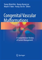 Young-Soo Do, Wayne F Yakes et al, Young-Wook Kim, Byung-Boon Lee, Byung-Boong Lee, Wayne F. Yakes - Congenital Vascular Malformations