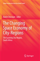 Koec Cheruiyot, Koech Cheruiyot - The Changing Space Economy of City-Regions