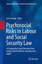 Loï Lerouge, Loïc Lerouge - Psychosocial Risks in Labour and Social Security Law