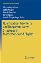 Alexander Cardona, Pedr Morales, Pedro Morales, Hernán Ocampo, Hernán Ocampo et al, Sylvie Paycha... - Quantization, Geometry and Noncommutative Structures in Mathematics and Physics