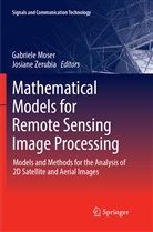 Gabriel Moser, Gabriele Moser, Zerubia, Zerubia, Josiane Zerubia - Mathematical Models for Remote Sensing Image Processing