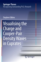 Stephen Edkins - Visualising the Charge and Cooper-Pair Density Waves in Cuprates