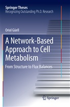 Oriol Güell - A Network-Based Approach to Cell Metabolism
