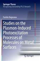 Fumika Nagasawa - Studies on the Plasmon-Induced Photoexcitation Processes of Molecules on Metal Surfaces