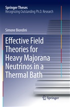 Simone Biondini - Effective Field Theories for Heavy Majorana Neutrinos in a Thermal Bath