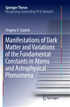 Yevgeny V Stadnik, Yevgeny V. Stadnik - Manifestations of Dark Matter and Variations of the Fundamental Constants in Atoms and Astrophysical Phenomena
