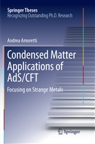 Andrea Amoretti - Condensed Matter Applications of AdS/CFT