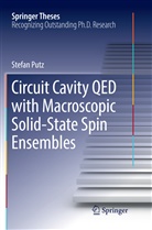 Stefan Putz - Circuit Cavity QED with Macroscopic Solid-State Spin Ensembles