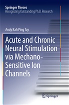 Andy Kah Ping Tay - Acute and Chronic Neural Stimulation via Mechano-Sensitive Ion Channels