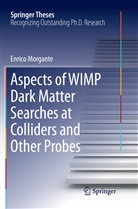 Enrico Morgante - Aspects of WIMP Dark Matter Searches at Colliders and Other Probes