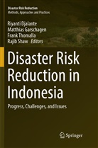 Riyanti Djalante, Matthia Garschagen, Matthias Garschagen, Rajib Shaw, Frank Thomalla, Frank Thomalla et al - Disaster Risk Reduction in Indonesia