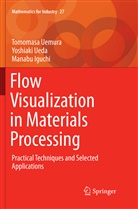 Manabu Iguchi, Yoshiak Ueda, Yoshiaki Ueda, Tomomas Uemura, Tomomasa Uemura - Flow Visualization in Materials Processing