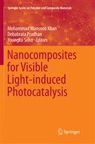 Mohammad Mansoob Khan, Debabrat Pradhan, Debabrata Pradhan, Youngku Sohn - Nanocomposites for Visible Light-induced Photocatalysis