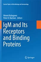 Peter D. Burrows, D Burrows, D Burrows, Hirom Kubagawa, Hiromi Kubagawa - IgM and Its Receptors and Binding Proteins