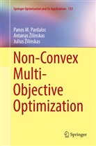 Antanas ¿Ilinskas, Julius ¿Ilinskas, Panos Pardalos, Panos M Pardalos, Panos M. Pardalos, Antana Zilinskas... - Non-Convex Multi-Objective Optimization