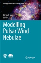 Dieg F Torres, Diego F Torres, Diego F. Torres - Modelling Pulsar Wind Nebulae