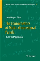 Laszl Matyas, Laszlo Matyas - The Econometrics of Multi-dimensional Panels