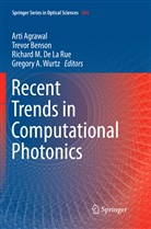 Arti Agrawal, Trevo Benson, Trevor Benson, Richard M. De La Rue, Richard M De La Rue et al, Gregory A. Wurtz - Recent Trends in Computational Photonics