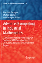 Ivan Georgiev, Krassimir Georgiev, Michai Todorov, Michail Todorov - Advanced Computing in Industrial Mathematics