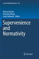 Bartosz Bro¿ek, Bartosz Brozek, Bartosz Brożek, Antonin Rotolo, Antonino Rotolo, Jerzy Stelmach - Supervenience and Normativity