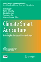 Solomon Asfaw, Giacomo Branca, Leslie Lipper, Nanc McCarthy, Nancy McCarthy, David Zilberman... - Climate Smart Agriculture