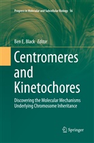 Ben E. Black, Be E Black, Ben E Black - Centromeres and Kinetochores
