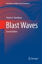 Charles E Needham, Charles E. Needham - Blast Waves