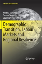 Jouke van Dijk, Cristina Martinez, Jouke van Dijk, Tamar Weyman, Tamara Weyman - Demographic Transition, Labour Markets and Regional Resilience