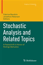 Fabric Baudoin, Fabrice Baudoin, PETERSON, Peterson, Jonathon Peterson - Stochastic Analysis and Related Topics
