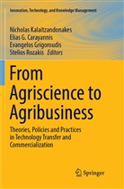 Elias G. Carayannis, Elia G Carayannis, Elias G Carayannis, Evangelos Grigoroudis, Evangelos Grigoroudis et al, Nicholas Kalaitzandonakes... - From Agriscience to Agribusiness