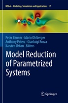Peter Benner, Mari Ohlberger, Mario Ohlberger, Anthony Patera, Anthony Patera et al, Gianluigi Rozza... - Model Reduction of Parametrized Systems