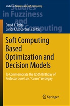 Davi A Pelta, David A Pelta, Cruz Corona, Cruz Corona, Carlos Cruz Corona, David A. Pelta - Soft Computing Based Optimization and Decision Models