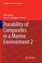 D S Rajapakse, D S Rajapakse, Pete Davies, Peter Davies, Yapa D. S. Rajapakse, Yapa D.S. Rajapakse - Durability of Composites in a Marine Environment 2