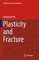 Wolfgang Brocks - Plasticity and Fracture