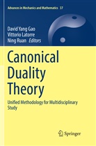 David Yang Gao, Vittori Latorre, Vittorio Latorre, Ning Ruan - Canonical Duality Theory