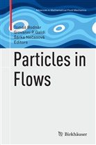 Tomás Bodnár, Tomáš Bodnár, Giovanni P. Galdi, Sárka Necasová, Šárka Nečasová, Giovann P Galdi... - Particles in Flows