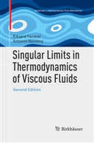 Eduar Feireisl, Eduard Feireisl, Antonín Novotný - Singular Limits in Thermodynamics of Viscous Fluids