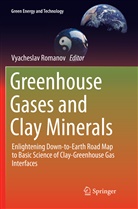 Vyachesla Romanov, Vyacheslav Romanov - Greenhouse Gases and Clay Minerals