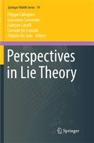 Filippo Callegaro, Giovann Carnovale, Giovanna Carnovale, Fabrizio Caselli, Fabrizio Caselli et al, Corrado De Concini... - Perspectives in Lie Theory