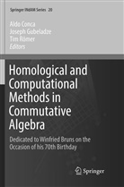 Aldo Conca, Josep Gubeladze, Joseph Gubeladze, Tim Römer - Homological and Computational Methods in Commutative Algebra