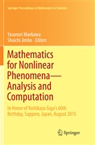 JIMBO, Jimbo, Shuichi Jimbo, Yasunor Maekawa, Yasunori Maekawa - Mathematics for Nonlinear Phenomena - Analysis and Computation