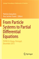Patríci Gonçalves, Patrícia Gonçalves, Jacinta Soares, Jacinta Soares, Ana Jacinta Soares - From Particle Systems to Partial Differential Equations