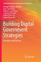J. Ramon Gil-Garcia, Luna-, Dolores E. Luna-Reyes, Luis Luna-Reyes, Luis F Luna-Reyes, Luis F. Luna-Reyes... - Building Digital Government Strategies